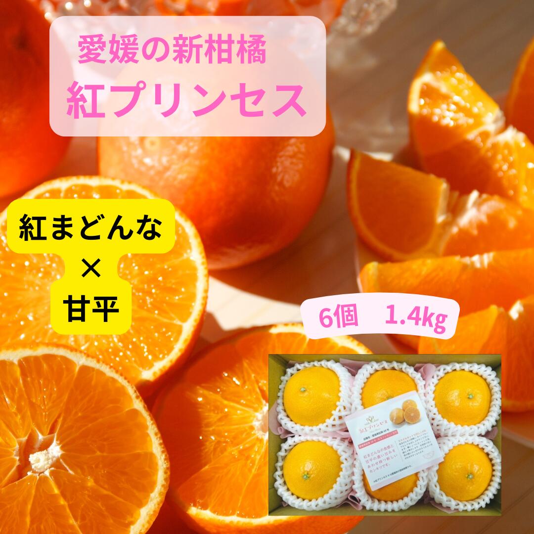 思わず声が出た！愛媛の新品種みかん | 藤原宏美オフィシャルブログ