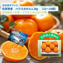 みかん 6/16 父の日 ギフト ときいろ人気 NO2 佐賀県産 ハウスみかん1.2kg(12～18個) ＜ 送料・消費税込 父の日カード付き フリーメッセージも承ります プレゼント みかん ハウスみかん 長崎県 プレゼント ハウスミカン 沖縄及び離島は送料＋1,100円