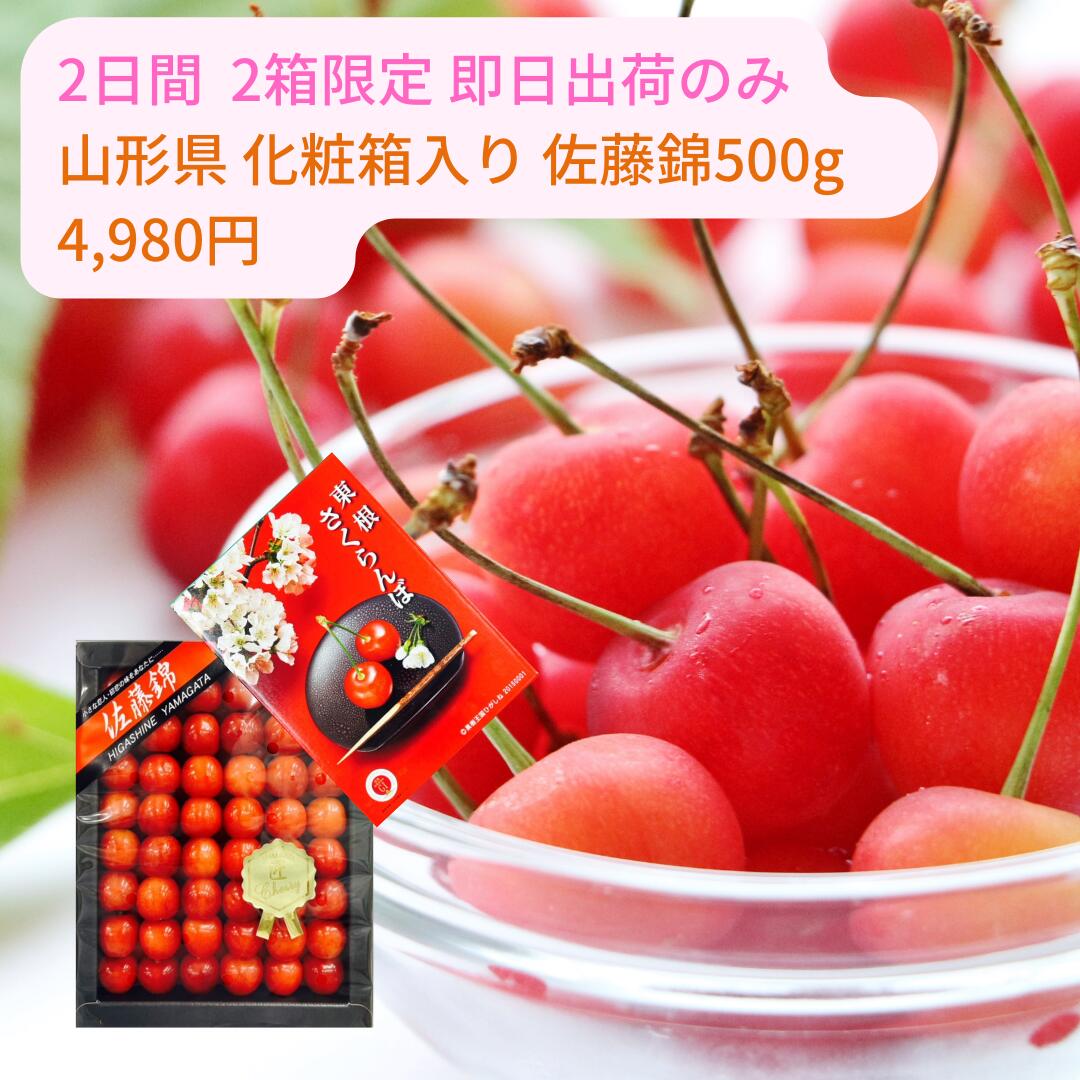 61ޤ Ȣ  캬  ƣ 1ѥå500g3,980ߡǹ¾եб ¨в٤פޤ ˤԲ ڻ £ʪ  ˤ  뺧    л   