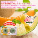 母の日 ギフト 熊本 茨城 クインシーメロン & アンデスメロン 各1玉 ずつ 計2.2kg< 送料・ 消費税込> 母の日カード付(フリーメッセージも入れられま...