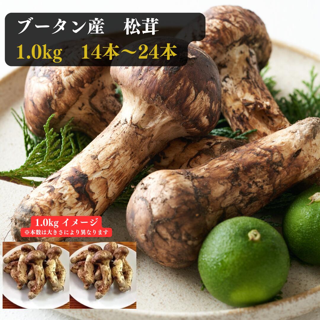ブータン産 松茸 1.0kg 14本‐24本 8月20日頃から9月15日の間にお届け予定 日にち指定不可 時間指定可能 商品の品質上 沖縄県 その他離島はお届け不可 【サイズはM以上でお任せ】 送料・消費税込 まつたけ ギフト 贈り物 御 内祝 秋の味覚