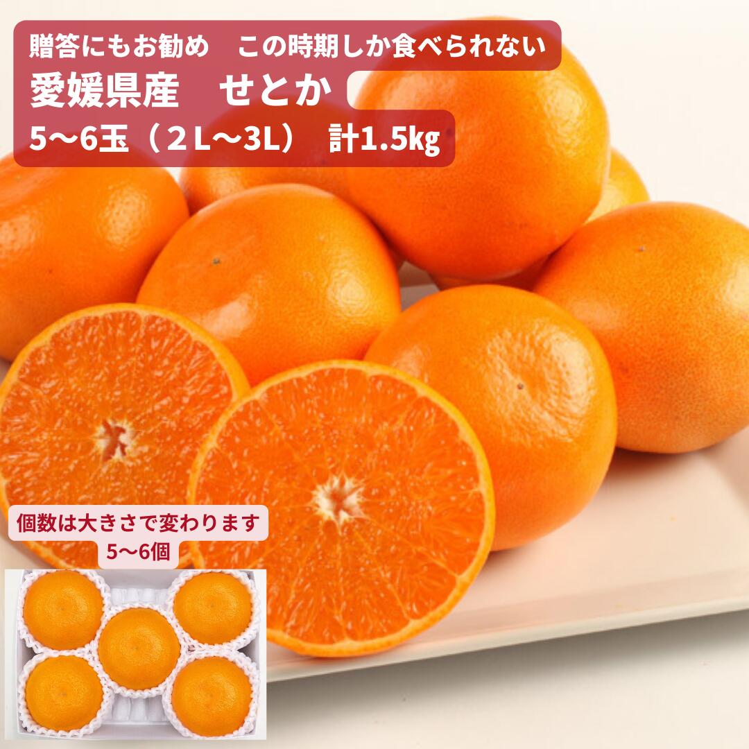 ���λ����������٤�ʤ� ��ɲ���� ���Ȥ� 1.5kg��5��6�����ˡ� �����������ǹ� ����ʸ����5������ˤϽв�ͽ�� ���ڻ� ����� £��ʪ �� �ˤ� �� �뺧...