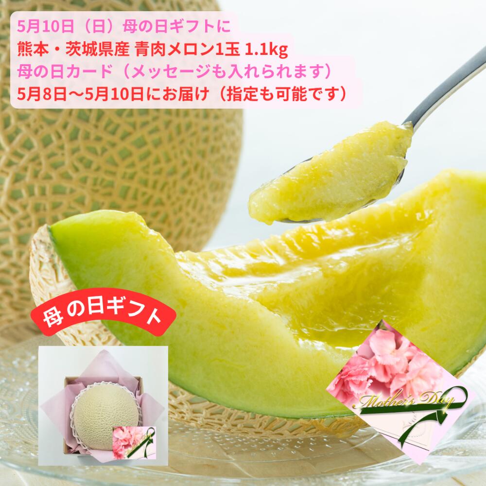 樂天商城 - 母の日ギフト 熊本 茨城 アンデスメロン 1玉 1.1kg＜ 送料・ 消費税込＞ 母の日カード付（フリーメッセージも入れられます） 5月8日‐10日にお届け 指定日配送も承ります 贈り物 御 礼 御返し プレゼント メロン 内祝 ギフト
