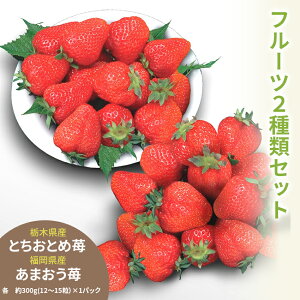 楽天スーパーセール対象商品 栃木県産 とちおとめ 苺 ＆福岡県産 あまおう 苺　食べ比べ　＜ 送料・ 消費税込＞ 贈り物 御 祝い 御 結婚 御返し お年賀 とき いろ 旬 フルーツ 果物 くだもの 個 玉 いちご セット お歳暮 歳暮 詰め合わせ 冬ギフト 誕生日 快気祝い お洒落