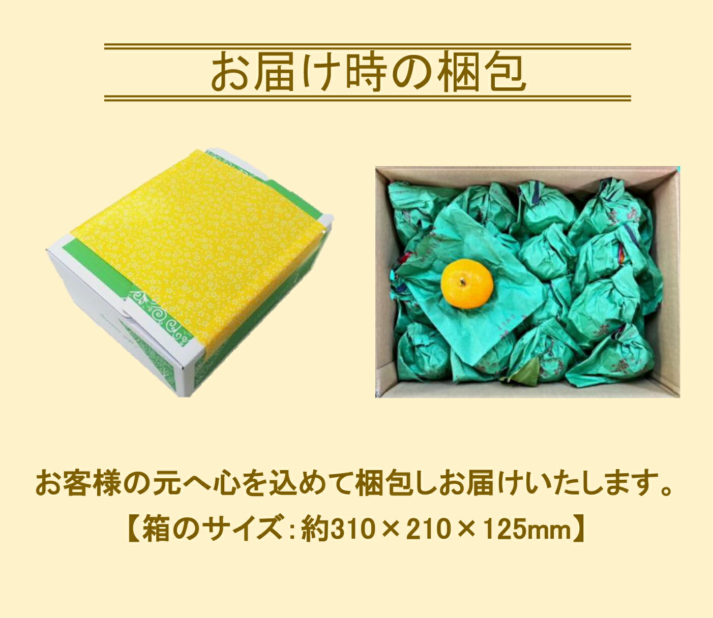 ���ܸ��� ���� �޳ݤ��ߤ����̴̣�פȤ��᤭��3kg���� �����������ǹ� �� ���ڻ� ����� £��ʪ �� �ˤ� �� �뺧 �� �� �� �л� ������ ������ ���� ���֤� �ץ쥼��� �Ȥ� ���� ̴̣ ̪�� ���渫�� ���