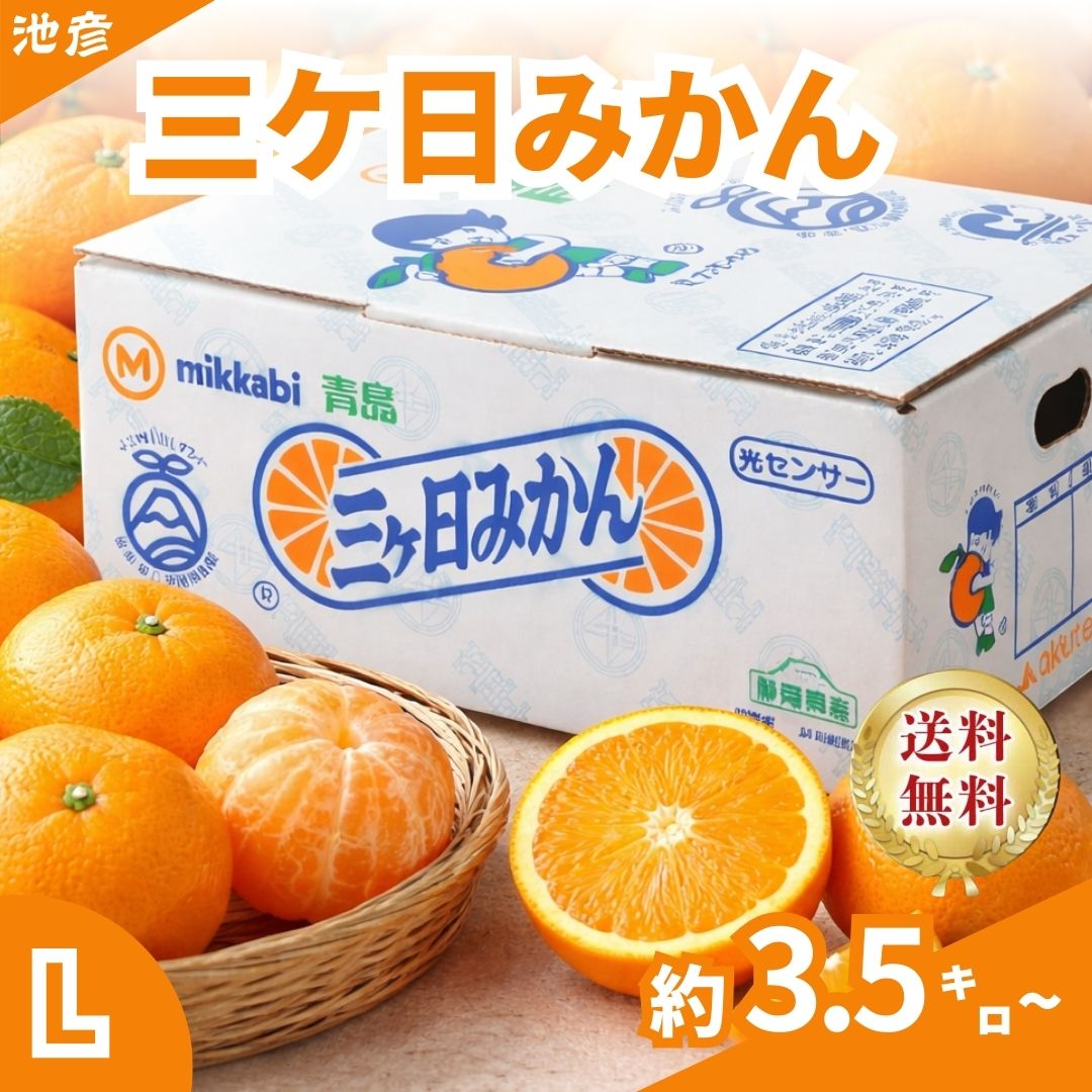 三ケ日青島みかん/無印/Lサイズ/3.5キロ～8キロ/甘いみかん/ギフトフルーツ/静岡みかん/蜜柑/ ...