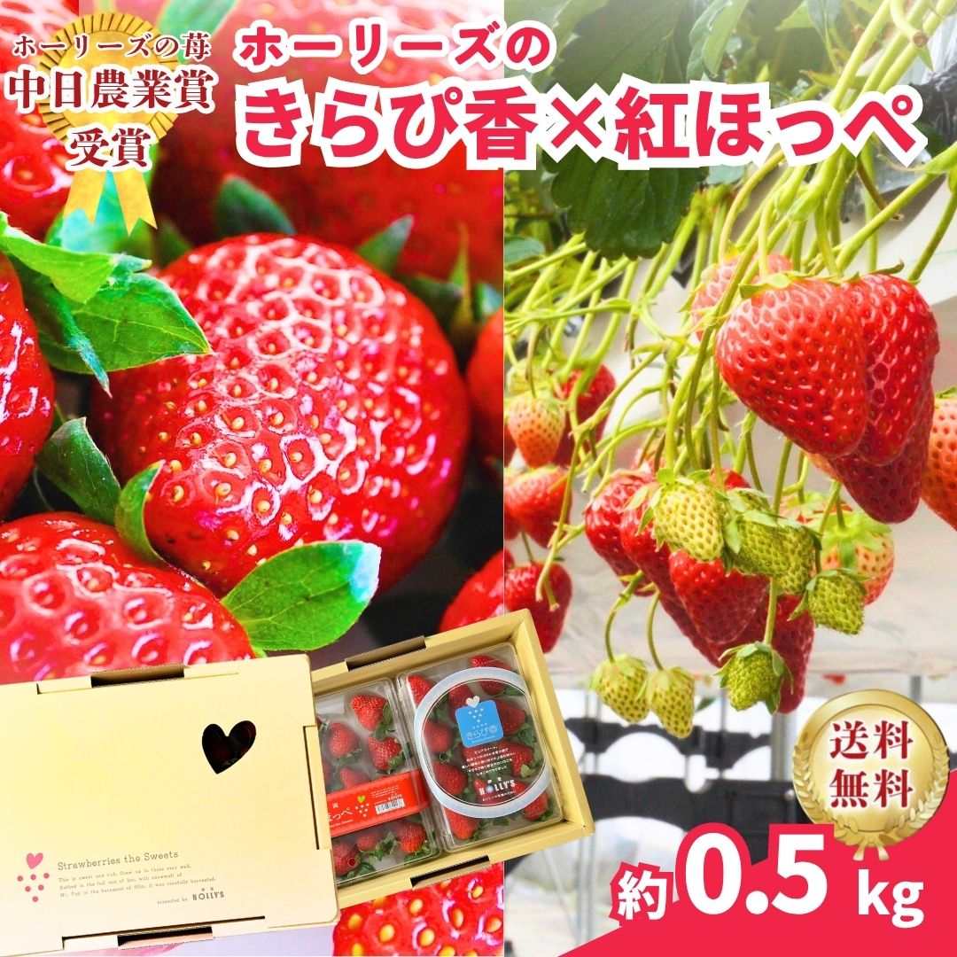 【静岡県産 紅ほっぺときらぴ香を食べ比べ】お歳暮にも最適 ほっぺた落ちるいちごと輝く宝石きらぴ香 ..