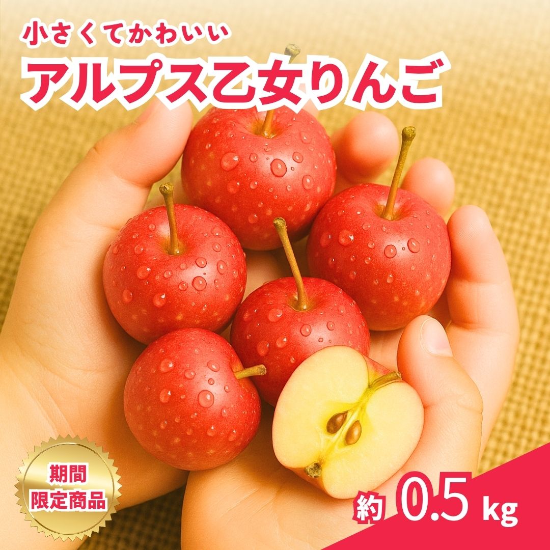 【こどもと一緒に丸かじり】アルプス乙女りんご　500g～kg　小さいりんご　ミニりんご　贈答用りんご　丸かじり　長野県産　食べきりサイズりんご　ギフト(4)