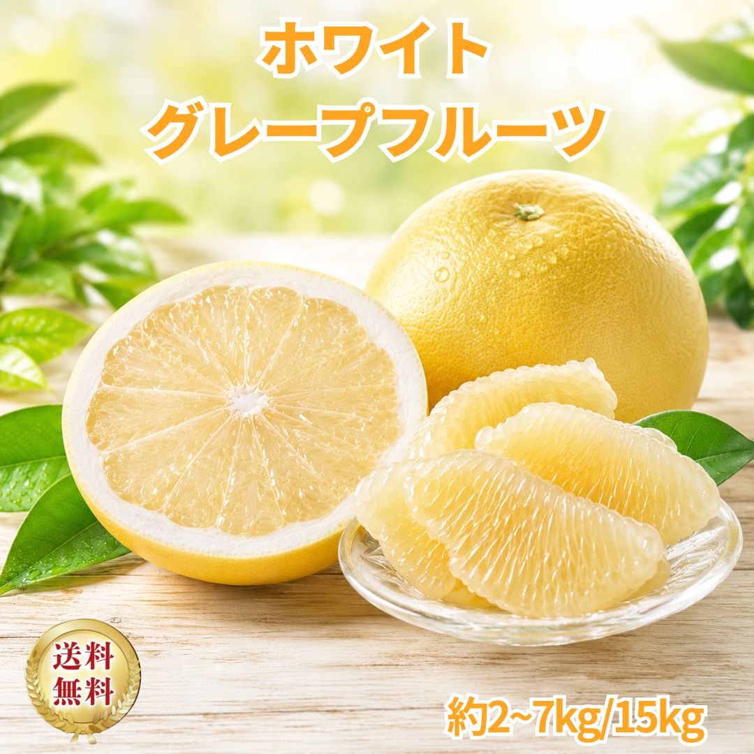 ホワイトグレープフルーツ 2kg 3kg 4kg 5kg 6kg 7kg 14kg 送料無料 グレー ...