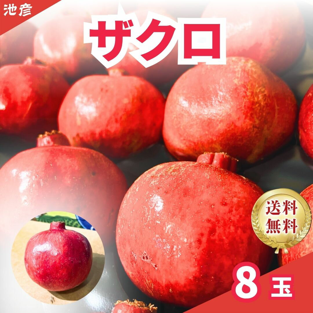 アメリカザクロ/トッピング/ザクロサラダ/ヨーグルト/クリスマスフルーツ/大玉ザクロ