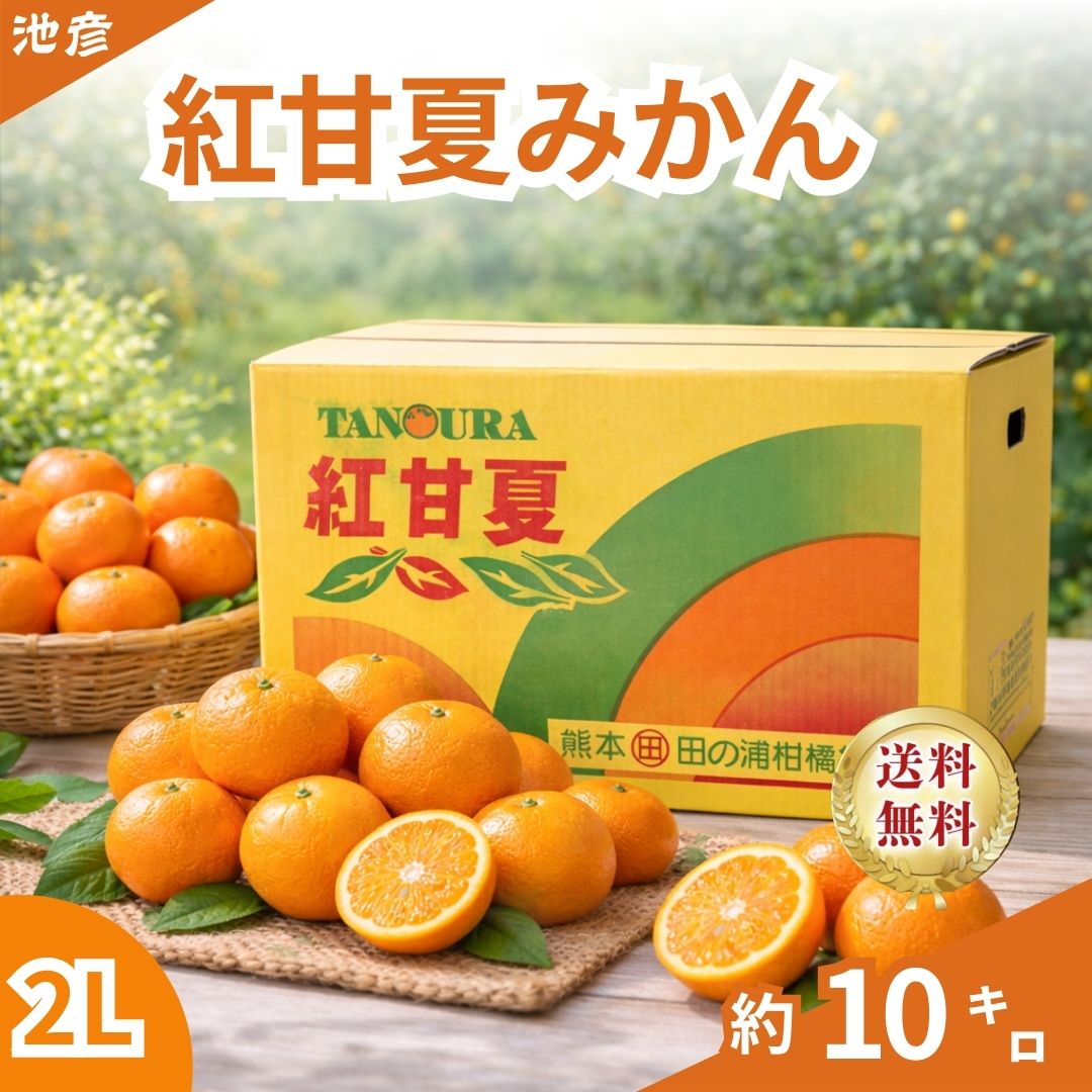 紅甘夏みかん|さっぱり柑橘|酸味控えめ|ギフトにも|2Lサイズ|優