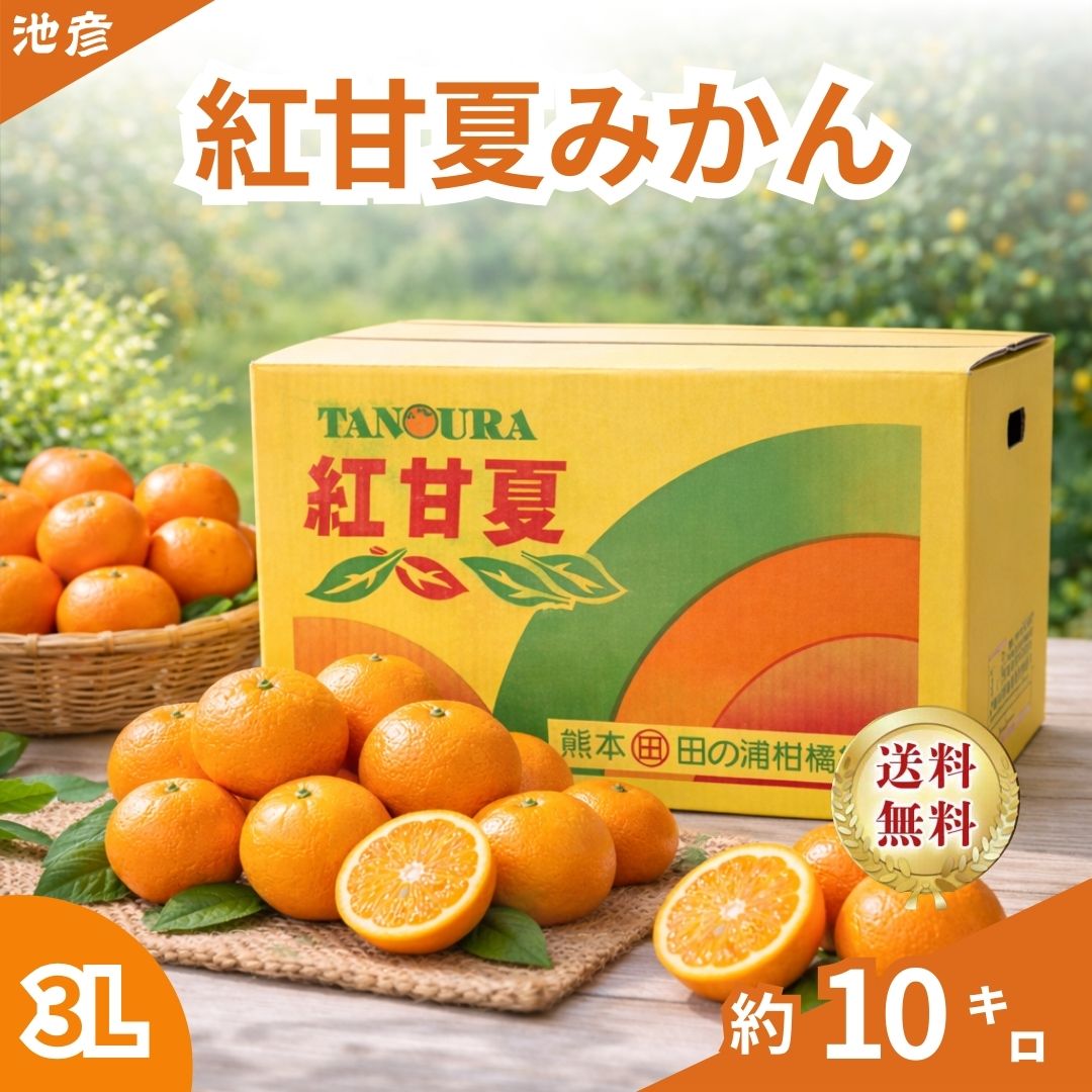 紅甘夏みかん|さっぱり柑橘|酸味控えめ|ギフトにも|3Lサイズ|優