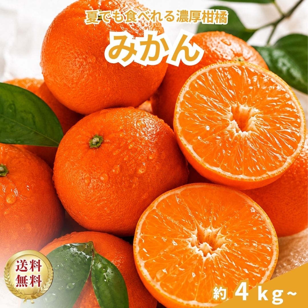 乐天商城 - みかん約3kg~｜夏に食べれるみかん｜甘い柑橘｜春みかん｜ジューシー|ペルー産