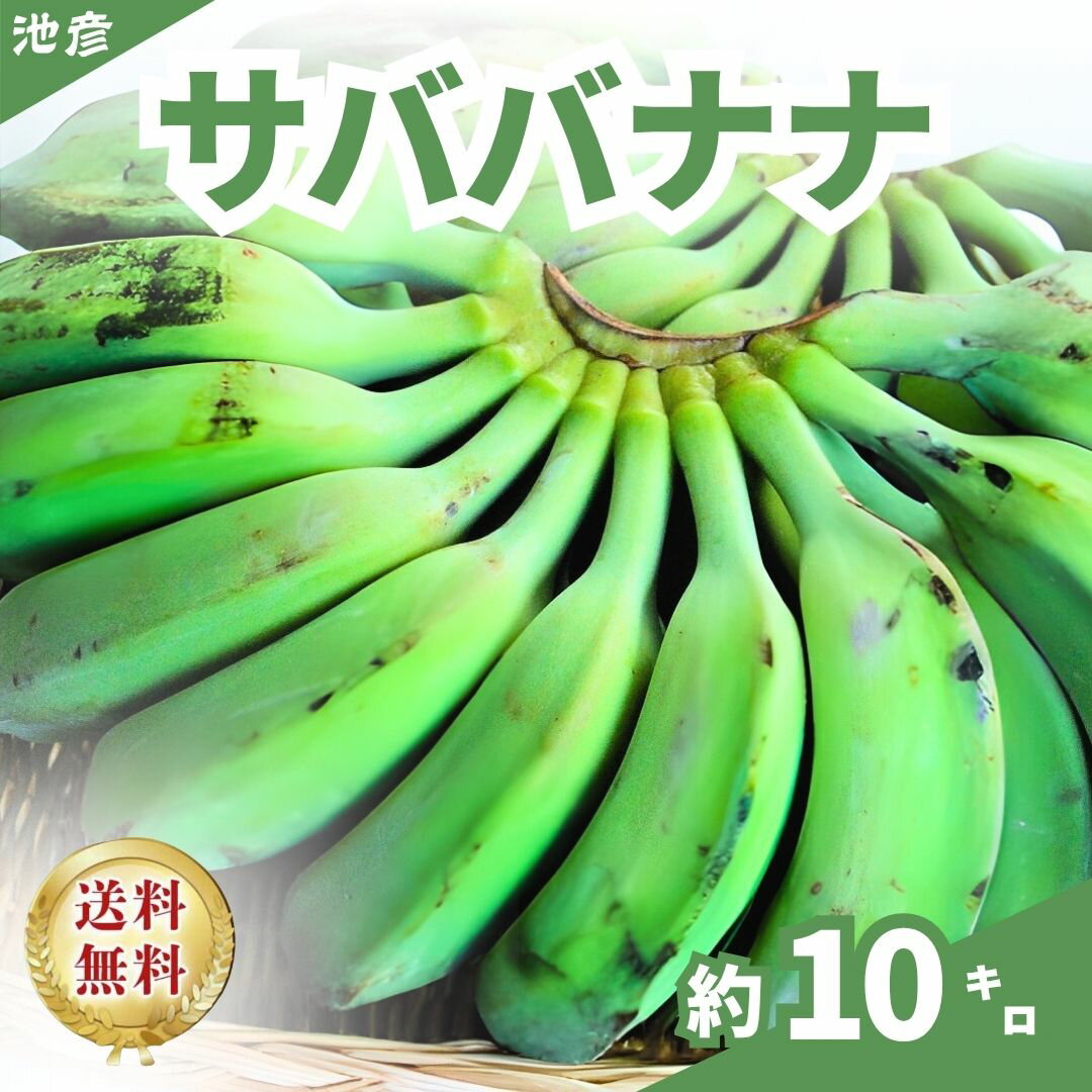 【フィリピン産　送料無料】サババナナ　カルダババナナ　加工用場何　約10キロ　料理用　もっちりバナナ