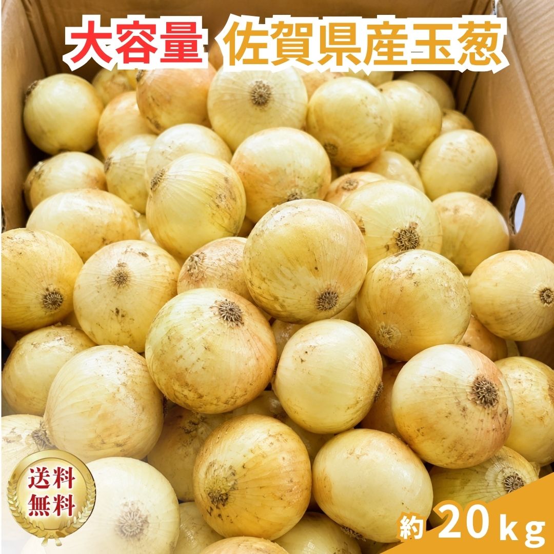 楽天市場】玉ねぎ sサイズ 20kgの通販