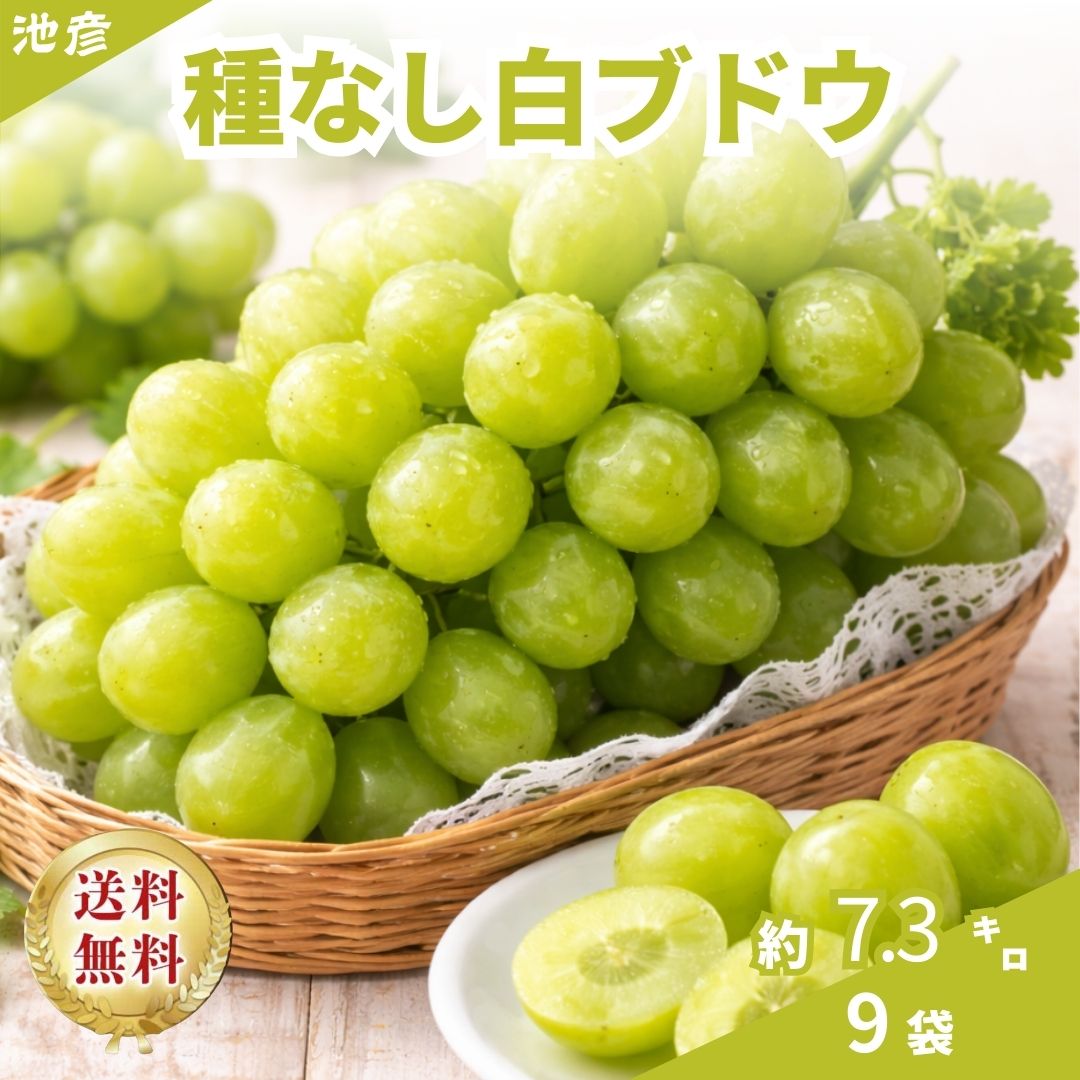 種なし白ぶどう|皮ごと食べられるぶどう|※シャインマスカット非該当|ペルー産|種なしで皮ごと食べられ..