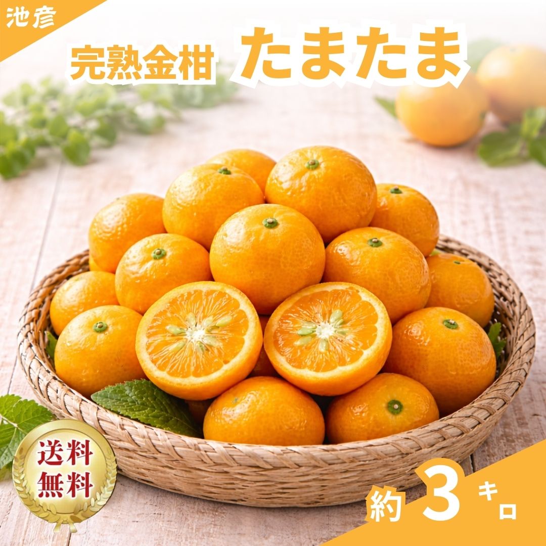 Rakuten - 【完熟金柑たまたま】宮崎県産｜皮ごと食べれる｜3キロ｜秀品