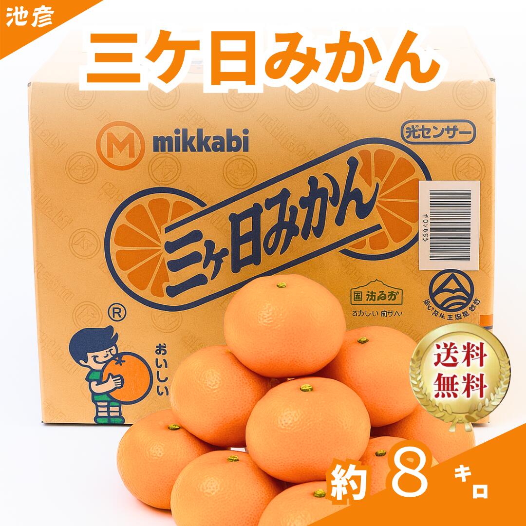 三ケ日みかん/甘いみかん/ギフトフルーツ/静岡みかん/蜜柑/ミカン/優品/