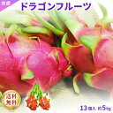 ドラゴンフルーツ 赤皮赤肉 約5キロ 13個入り