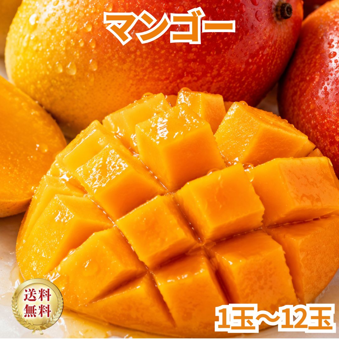 無農薬　果樹ペリカンマンゴー1.8メートル ５年生自宅に取りに来ていただける方 楽天市場】ペリカンマンゴー（マンゴー｜フルーツ・果物）：食品の通販
