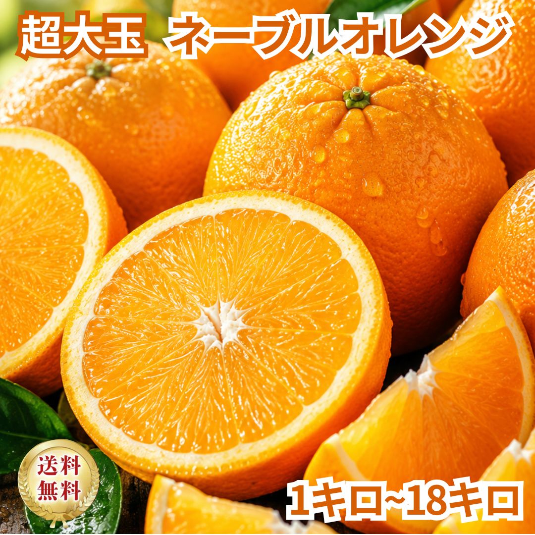 乐天商城 - ネーブルオレンジ 　オーストラリア産　3kg 6kg 9kg 18kg 選べる サイズ 中玉 大玉 小玉 超大玉 果物 柑橘