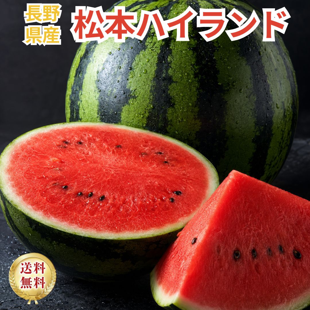 松本ハイランド 西瓜 長野県産 すいか Mサイズ 3Lサイズ 選べる 甘い シャリ感 果物 フルーツ お取り寄せ 夏ギフト