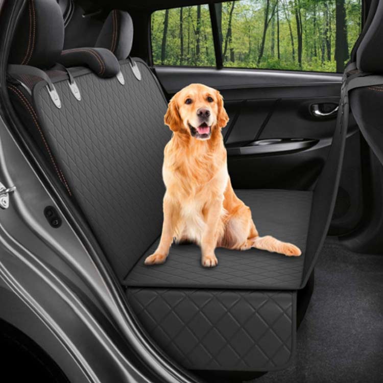 �ڥå��� �ɥ饤�֥����� ���澮�� ���������ȥ��С� ���������� ���ѥڥåȥ����� ������ ��Ƚ �ɿ奷���� �쥸�㡼������ ���� ����� �ޥå� ǭ�� �����ɻ� ���� ���ߤ�