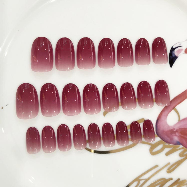 �ͥ��륹�ƥå��� 24�� �ͥ��륷���� ������ͥ��� ����� ����եͥ��� �ͥ����å� �ͥ��륢���� �ͥ���ǥ����� �ͥ��륢�������꡼ Ž����� ����ץ� �鿴�� ����ñ ��ǥ����� �İ��� �������