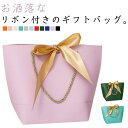 袋 ラッピング ギフト袋 包装 手提げ 贈り物 10枚セット ギフトバッグ ギフト用 中 お祝い プレゼント 袋 ロゴなし 手提げ袋 衣類 リボン 小 引き出物...
