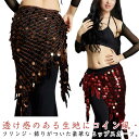 ヒップスカーフ 三角形 ヒップアクセサリー ステージ衣装 ベリーダンス衣装 ベリーダンス 社交ダンス ダンス衣装 ベリーダンス アラビアン衣装 フリンジ bel...