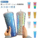 水筒 グラデーション おしゃれ ストロー付き コーヒーカップ 大容量 アウトドア 通学 携帯 水筒 通勤 カラフル 可愛い ギフト(3)