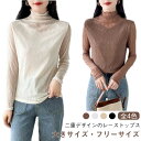 レースインナーシャツ シアートップス 長袖 シンプル 高級感 冬 トップス プルオーバー 春 秋 二重ネット素材 30代 40代 キレイめ ハイネック(4)