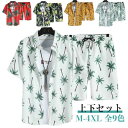 アロハ 部屋着 セットアップ 柄シャツ ファッション 短パン 上下セット 夏 アロハシャツ 上下 メンズ 半袖 膝上 おしゃれ アロハ柄 花柄 総柄 ボタニカル...