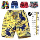 メンズ サーフパンツ 水着 ハーフパンツ 通気性 レディース ショートパンツ スイムパンツ 速乾 半パン 総柄 リゾート 短パン 海 プール ビーチ 旅行 ウエ...