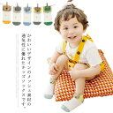 子供 靴下 ショート 5足セット キッズ ソックス 春夏 女の子 男の子 メッシュ 保育園 幼稚園 小学生 おしゃれ かわいい 通園通学 カラフル 通気 抗菌防...