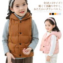 全5色×5サイズ！子供服 ダウンベスト スナップボタン 前開きベスト ダウン ベスト フード付き 軽量 女の子 男の子 キッズ 秋冬 カジュアル 90 100 110 120 130送料無料