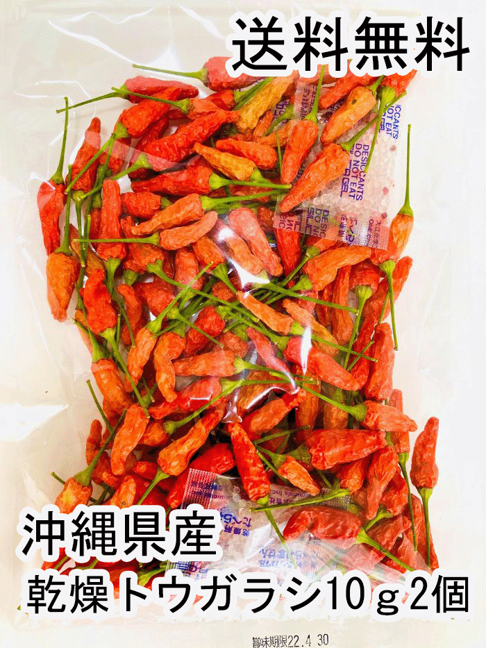 ランキング1位！ 10g×2個 薬膳 沖縄県産乾燥島トウガラシ 美味しい 乾燥唐辛子 唐辛子 唐辛子カレー 唐辛子スープ 薬膳カレー 泡盛 ラーメン スープ 鍋 ラー油 醤油 ポン酢 カプサイシン 沖縄料理 沖縄そば 沖縄土産 アンチエイジングのサムネイル