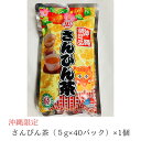 \沖縄の味/【送料無料】さんぴん茶(5g・40パック入) ティーバック ティーバッグ ジャスミン茶 効能 効果 沖縄 比嘉製茶 通販 おすすめ 水出し インスタント 美味しい ギフト