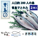 ハーブ鯖 500g×2尾入り 長崎県産 養殖ハーブ鯖 獲れたて新鮮 おすすめ人気通販 産直 高級ギフト【送料無料】長崎ブランド魚