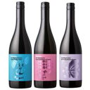 because, ビコーズ 赤ワイン 3本セット 750ml×3本