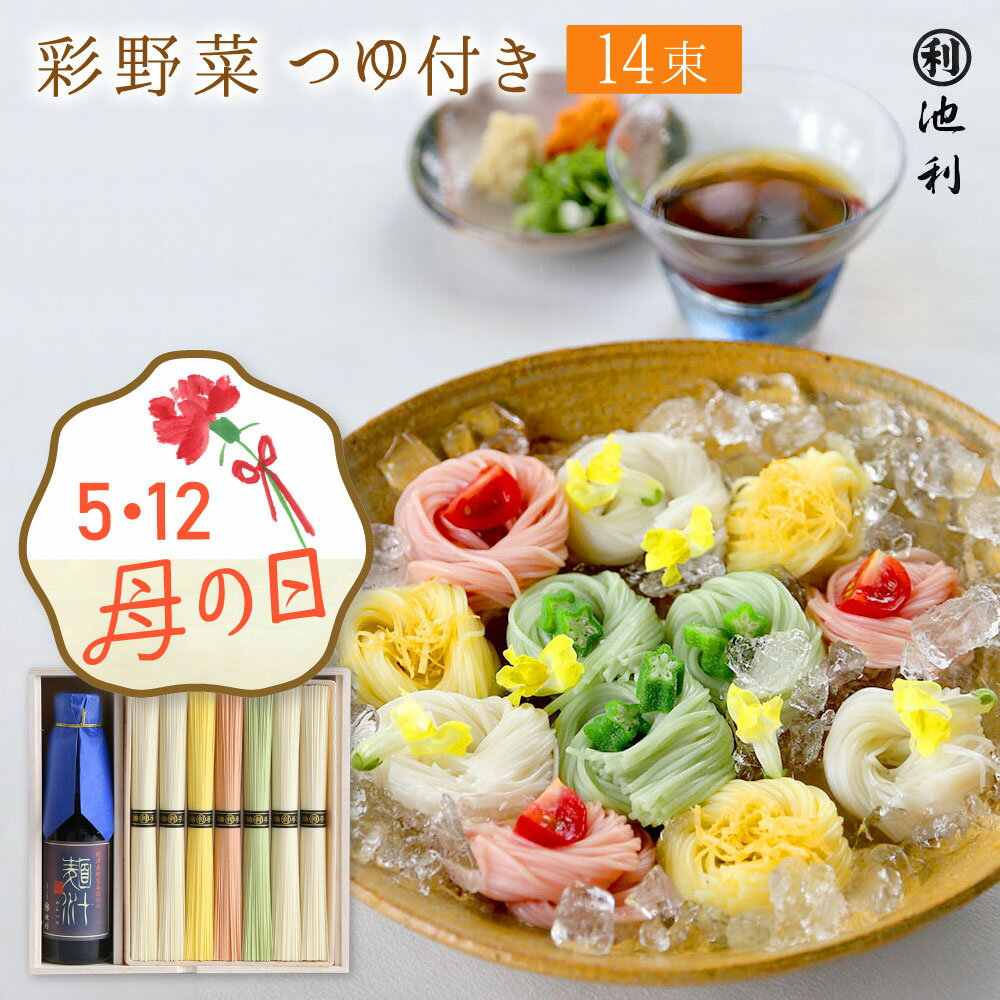 母の日 ギフト プレゼント そうめん 彩野菜 つゆ付き 50g×14束 カラフル 三輪そうめん 素麺 ネット限定 カーネーション お取り寄せのサムネイル