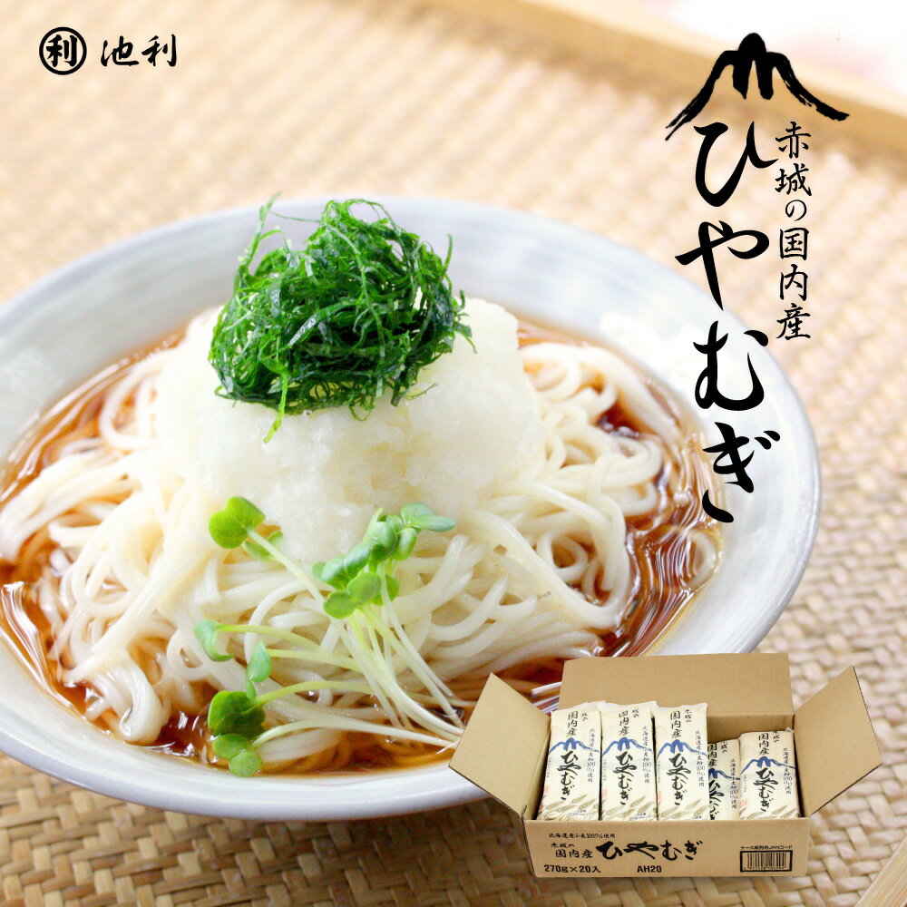 ひやむぎ 赤城の国内産ひやむぎ 270g×20袋【ひやむぎ 冷麦 麺類 送料無料】【北海道産小麦100％使用 業務用 お徳用 ケース 通販 販売 お取り寄せ】