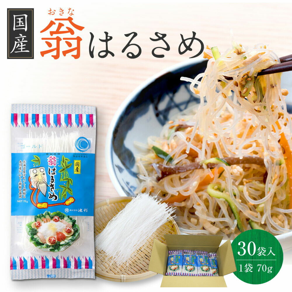 翁 国産春雨 70g×30袋（1ケース）業務用（送料無料）【業務用/はるさめ】