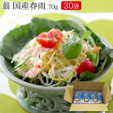 翁 国産春雨70g×30袋（1ケース）業務用（送料無料）【業務用/はるさめ】