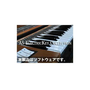 Acoustic Samples AS ElectricKey Collection(オンライン納品専用) ※代金引換はご利用頂けません。格安セール