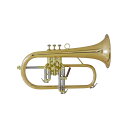 CAROL BRASS 【GWゴールドラッシュセール】 N6200 GB 【Bb フリューゲル ホルン】