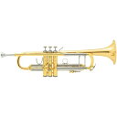 Bach 180MLV72/43 GL yBb gybgz yVi`CLY!!z y2024 trumpet fairz