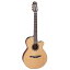 TAKAMINE P3FCN NS ڤ󤻾ʡ