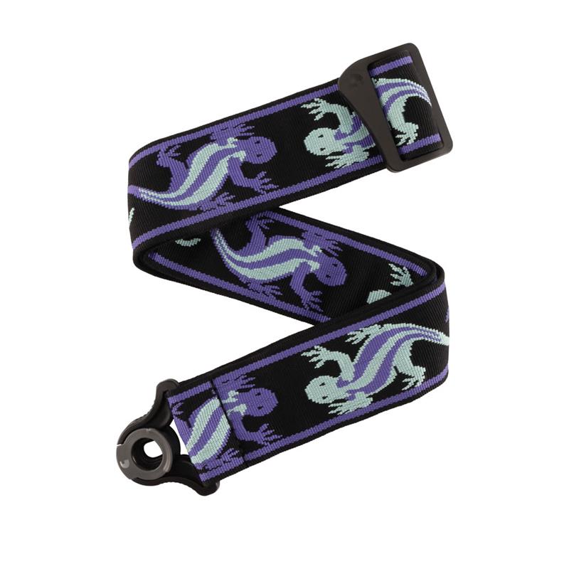 PLANET WAVES Vintage PW Teal Lizards [50BALPW02]