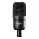 AUDIX A131(2)